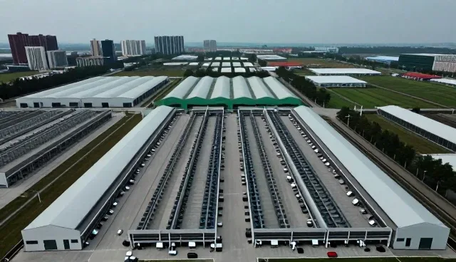 项目全流程管理中的模型设计实践与应用